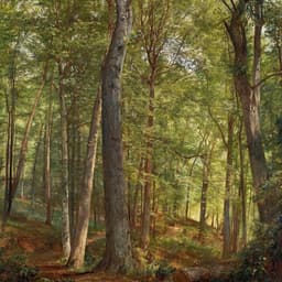 Exhibition Identity For American Landscapes cover image