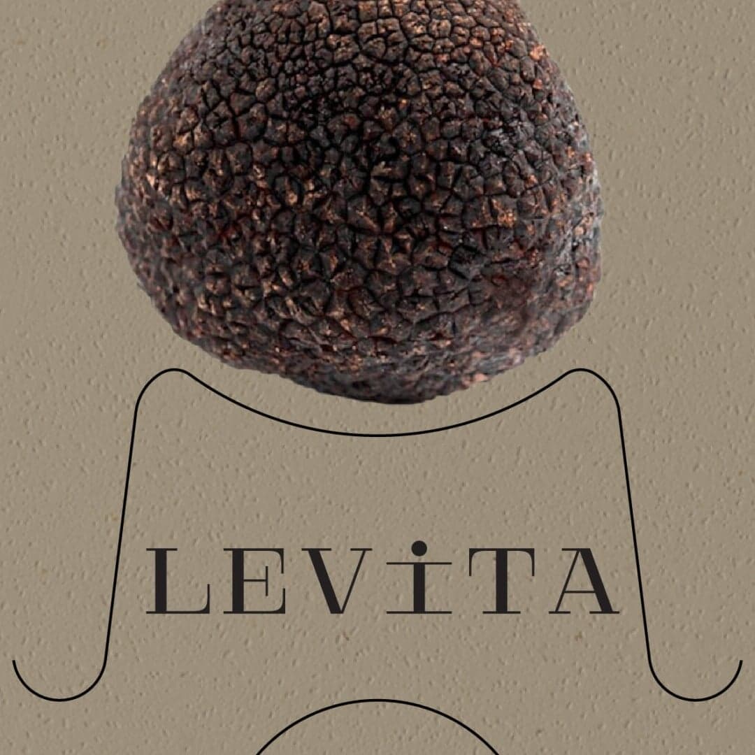 Packaging Concept For A Gourmet Truffle Brand 