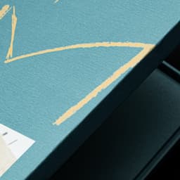 Packaging For A Hong Kong Singer-songwriter’s Vinyl Record - thumbnail 1