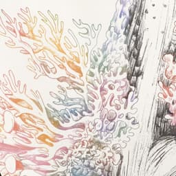 Arcadia Science - Play Studio design work cover image