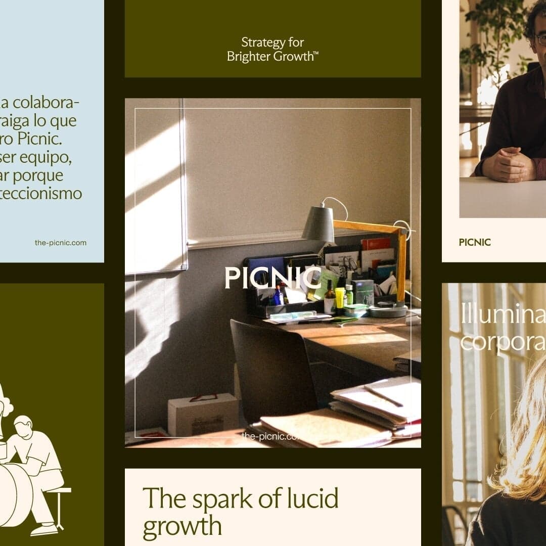 Brand Identity For Picnic Brand Consultancy