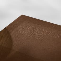 Brand Identity And Strategy For Gracious Minds cover image