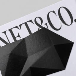 Brand Identity And Website Design For Janet & Co cover image