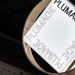 Brand Identity For Plumage Salon cover image