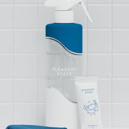 Branding And Packaging For Pleasant State cover image