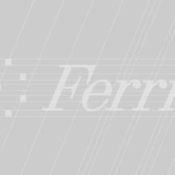 Ferris - Praktika design work cover image