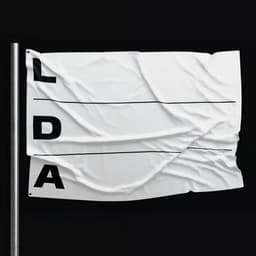 Adaptive Identity For Lithuanian Design Association cover image