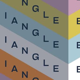 Neighborhood Branding For Everett Triangle cover image