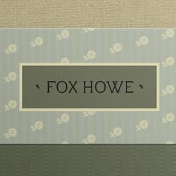 Brand Identity For Fox Howe Apartments cover image