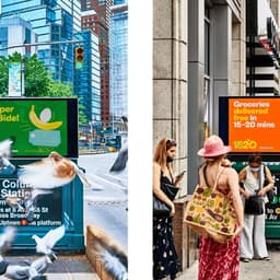 1520 - Shuka design work cover image