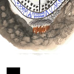 Custom Typeface Design For Shuka cover image