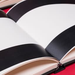 Typographic Illustrations For Homerun cover image