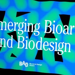 Bad-award - Spass design work cover image