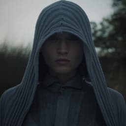 Digital Experience For Vespertine cover image