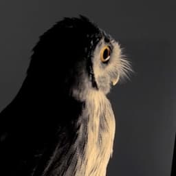 Interactive Campaign For At&t Infuse 4g Launch cover image