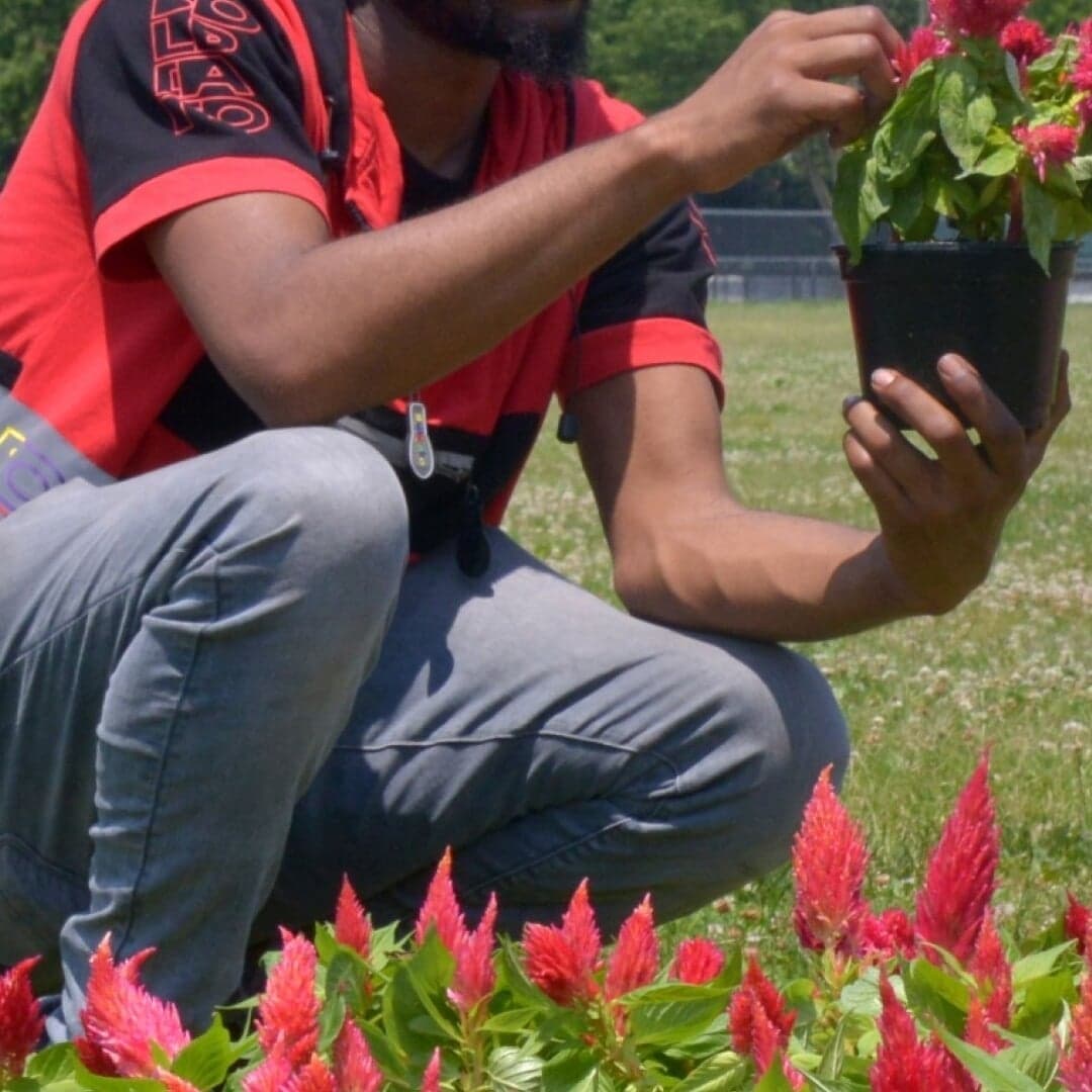 Activist Installation For Human Rights Watch