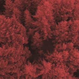 Film Campaign For Johnnie Walker Red Rye cover image