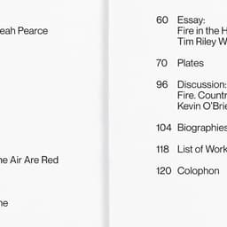 Publication And Exhibition Identity For On Fire: Climate & Crisis cover image