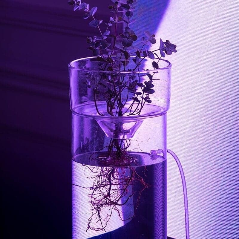 Digital Platform Design For Bloom Explore