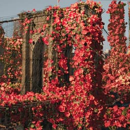 Motion Design For Michael Kors Spring Summer 2023 Campaign cover image