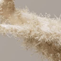 Motion Announcement For Tactyc Studio cover image