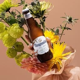 Global Visual Identity For Hoegaarden - thumbnail 1