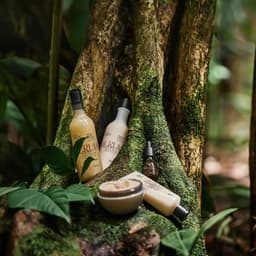 Visual Identity For Natura Ekos Haircare - thumbnail 1