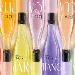 Packaging Design For Natura Ekos Frescores - thumbnail 1