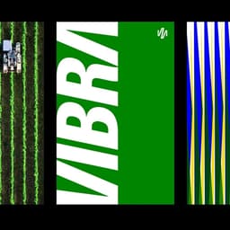 Brand Identity For Vibra’s Post-petrobras Independence cover image