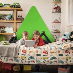 Brand Identity For The British Board Of Film Classification cover image