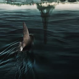 Vfx Production For Netflix Film Under Paris - thumbnail 1