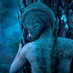 Visual Effects For Animal Kingdom cover image