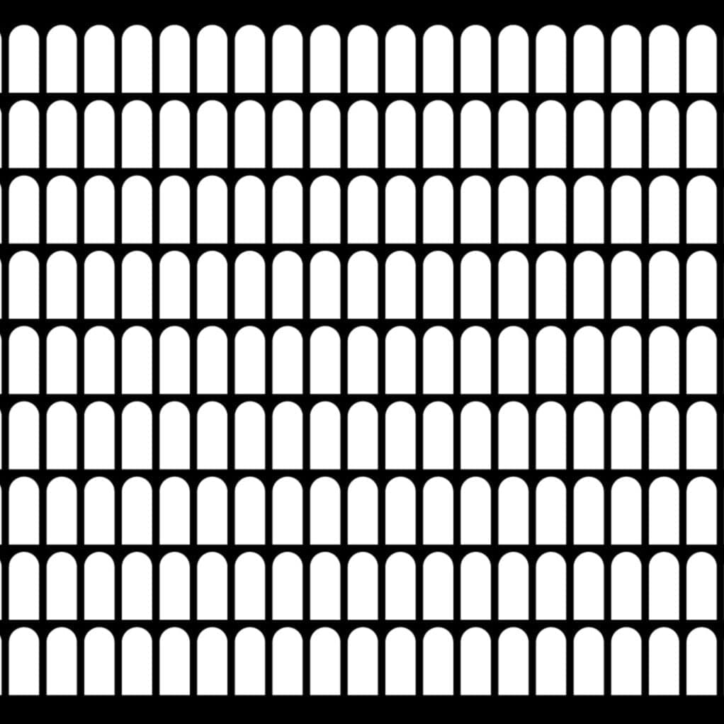 Brand Identity For Università Degli Studi Della Campania Luigi Vanvitelli