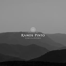 Website Redesign For Ramos Pinto Porto & Douro cover image