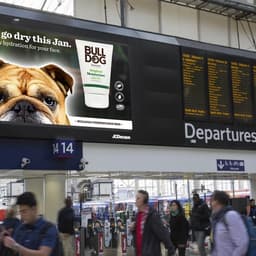 Dry January Media Campaign For Bulldog Skincare cover image
