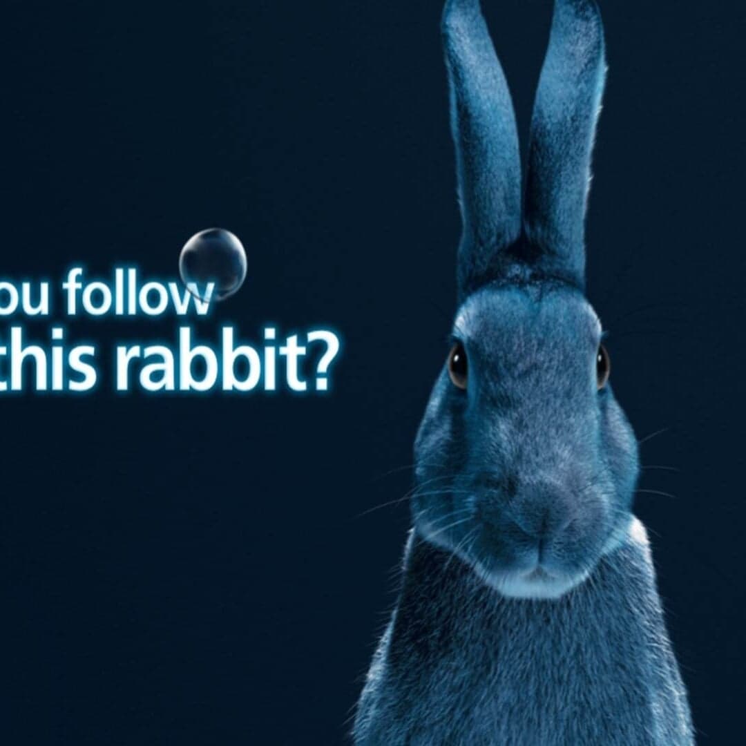Integrated Campaign For O2 Priority Live Experiences