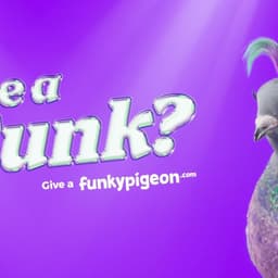 Brand Campaign For Funky Pigeon cover image