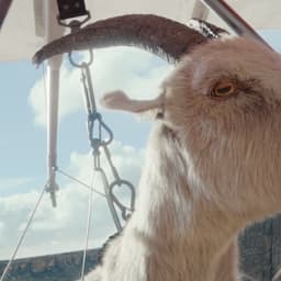 Integrated Advertising Campaign For Virgin Media O2 Wifi Guarantee cover image