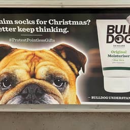 Christmas Media Campaign For Bulldog Skincare cover image