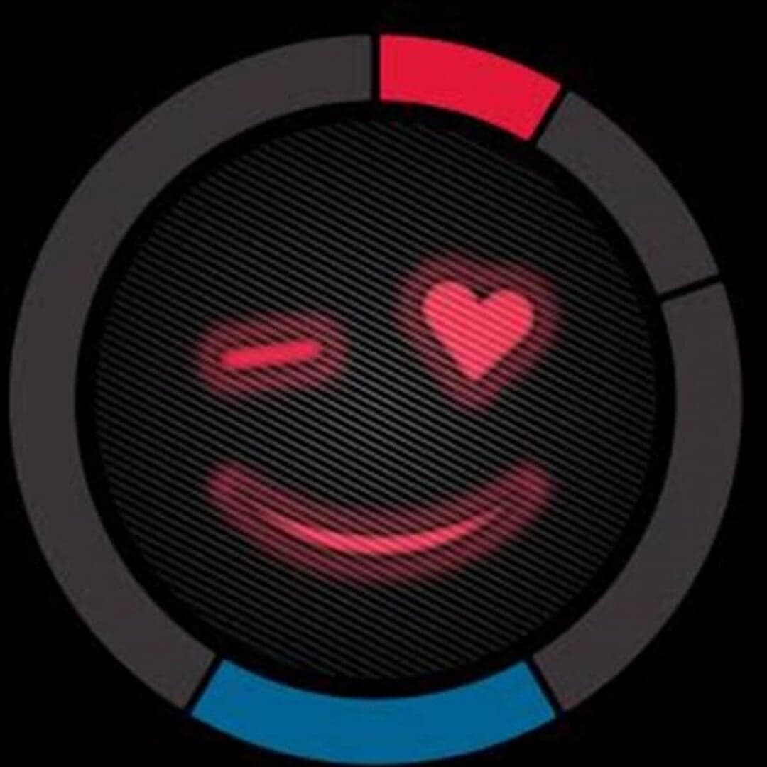 Recovery Channel Campaign For Domino's