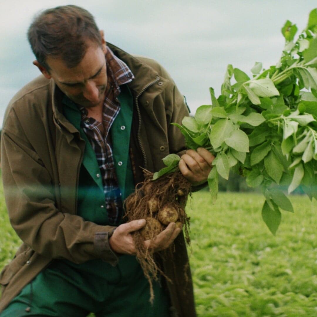Integrated Advertising Campaign For Walkers Crisps