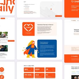 Brand Identity And Website Development For Lindaily cover image