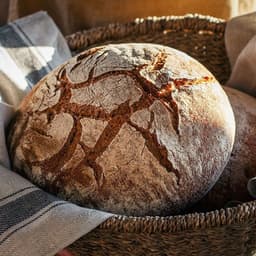 Website Design For Ejva Pro cover image