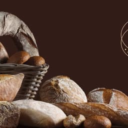 Brand Identity For Bushe Bakery Chain cover image