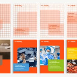 Brand Identity For Lindaily Service By Lindstrom cover image