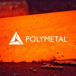 Brand Identity For Polymetal cover image