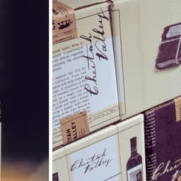 Packaging Design For Cheetah Valley Wine cover image