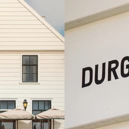 Aedes - Winkreative design work cover image