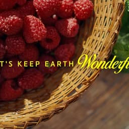 Sustainability Campaign For Deakin University cover image