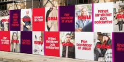 Rebranding For The Social Democratic Youth League - thumbnail 4